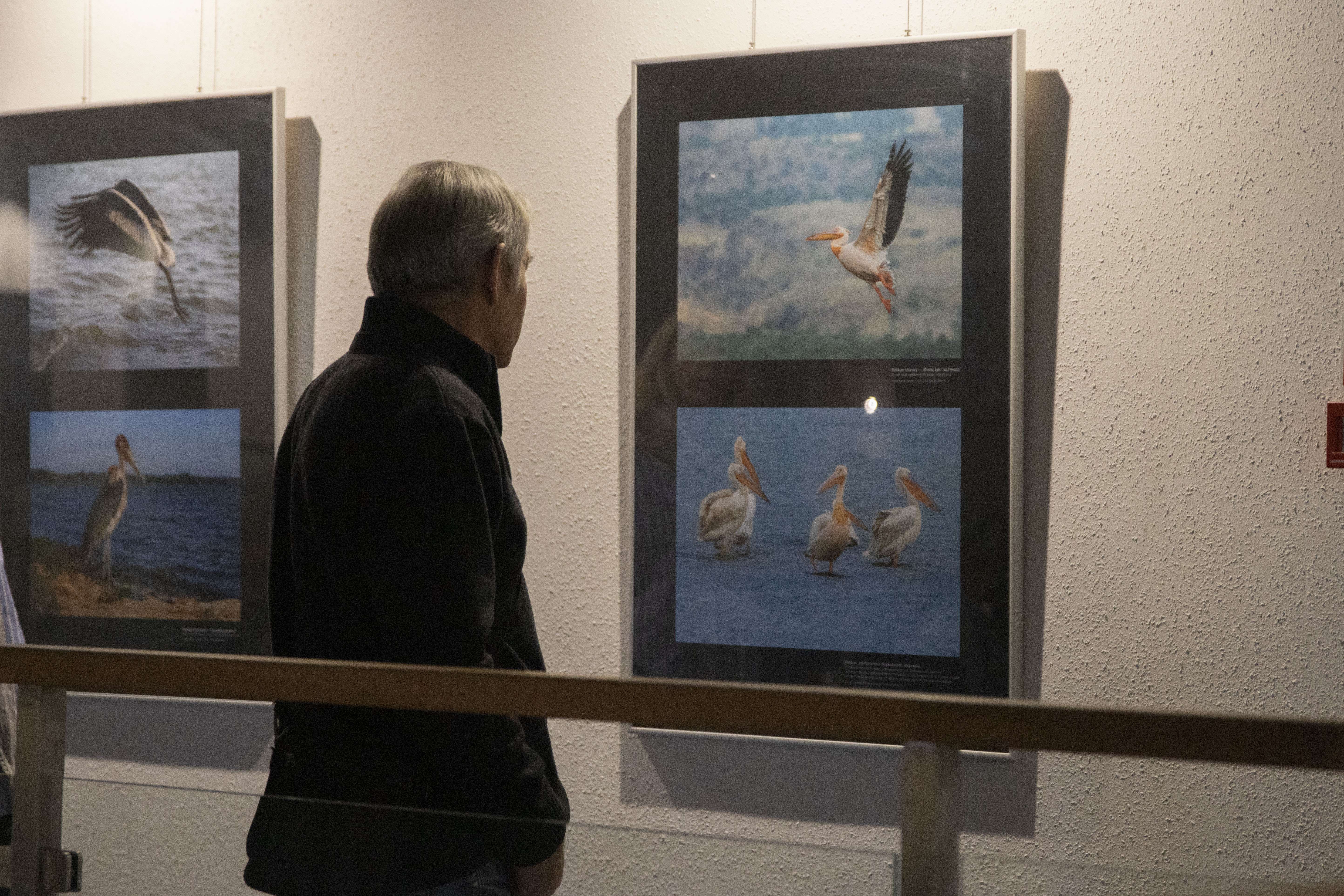 Echo Sawanny | 26.11.2026