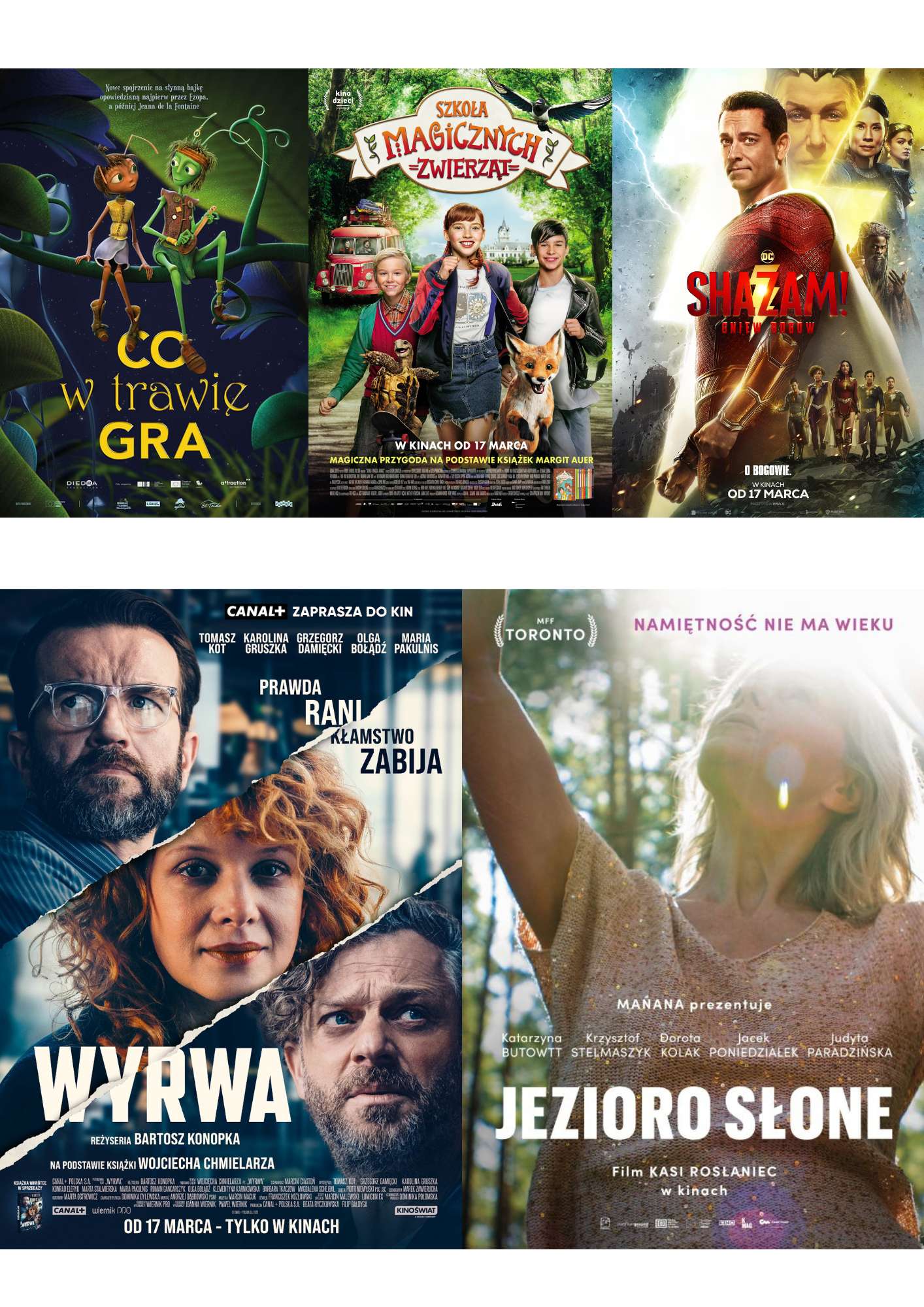 Screenings at the Światowid Cinema