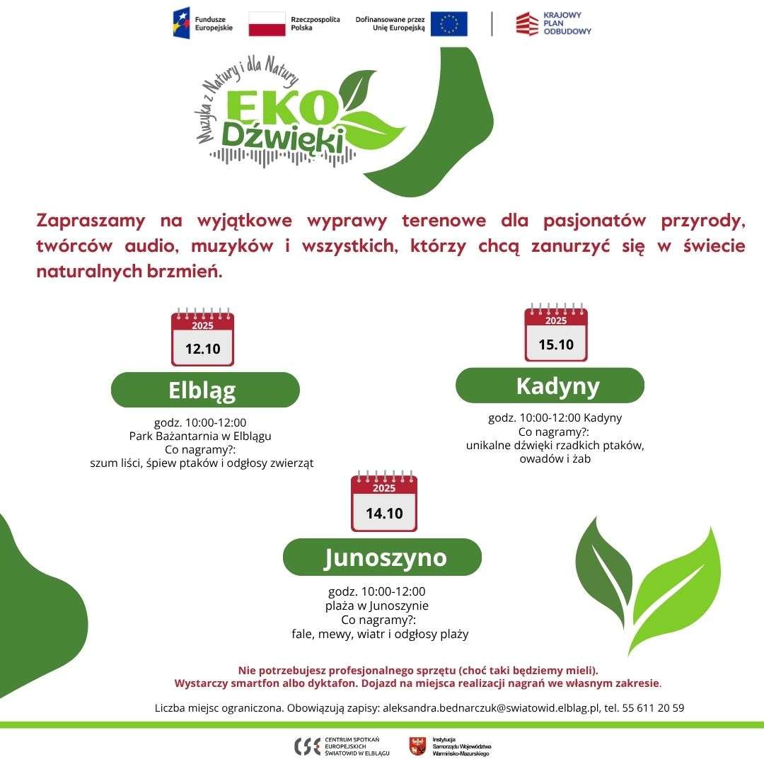 Zanurz się w naturalnym brzmieniu — terenowe wyprawy do nagrywania dźwięków przyrody