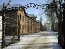 fot. Ryszard Domasik. Źródło: www.auschwitz.org.pl