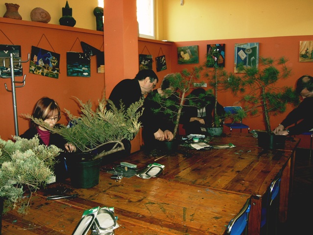 Wystawa Bonsai