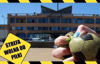 Wspólne wyjście w piątkowy wieczór