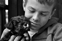 Wystawa "Odbicie rzeczywistości" w CSE "Światowid"