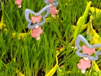 Zaprezentuj się na Jarmarku