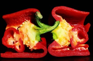 OCZY SZEROKO OTWARTE- II wystawa fotografii uczniów ZSTH w Elblągu