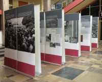 „Uczcie się polskiego”. Solidarność, NRD i Stasi