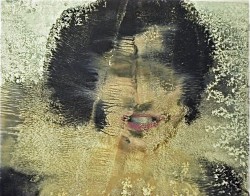 Terytoria na wystawie