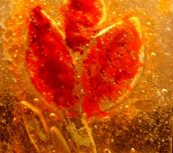 Warsztaty w Kadynach